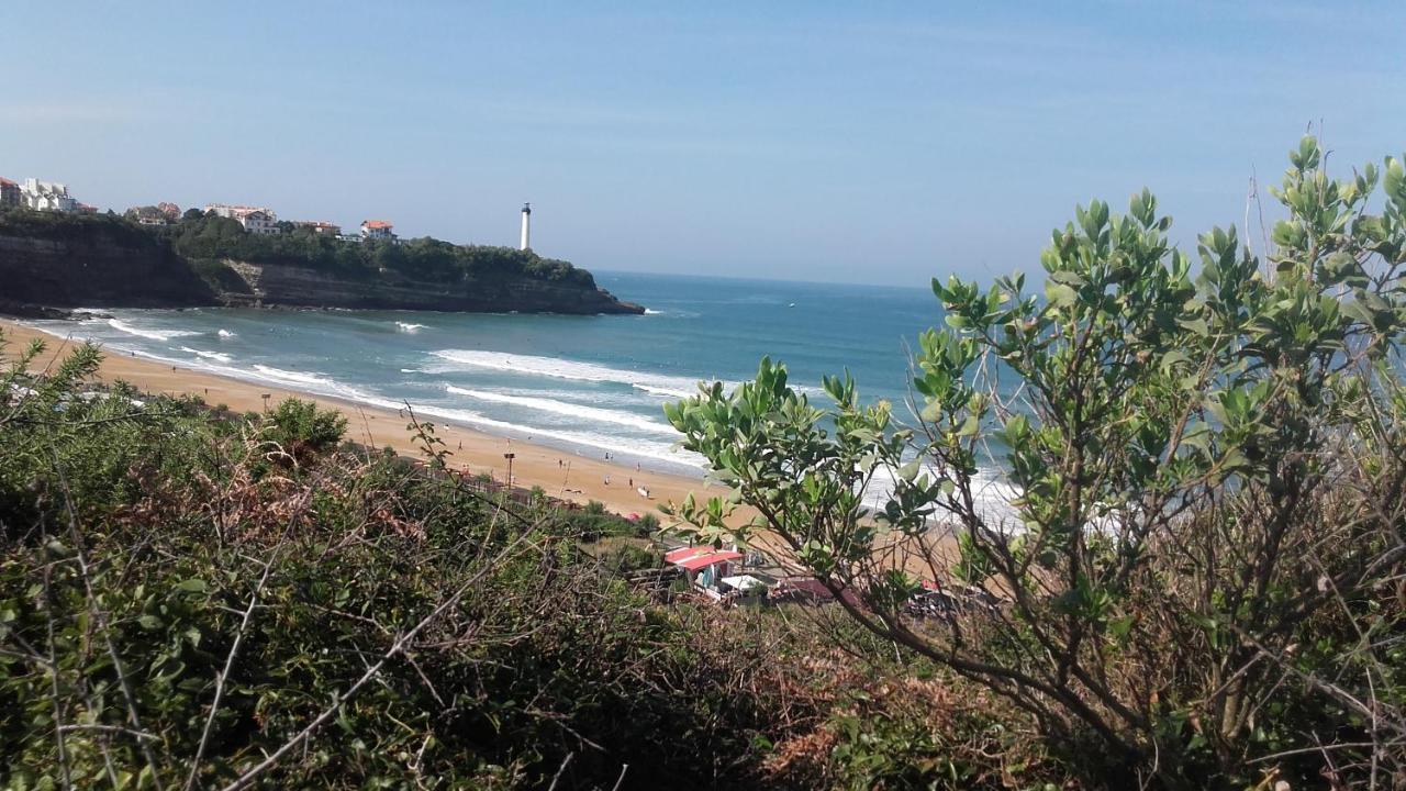 Apartment Face A L'ocean Anglet